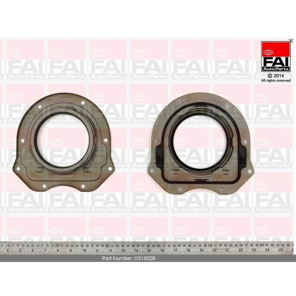 JOINT SPY PLAQUE ARR FORD 2.2 2.4 FAI NET HT (81-90013-00)