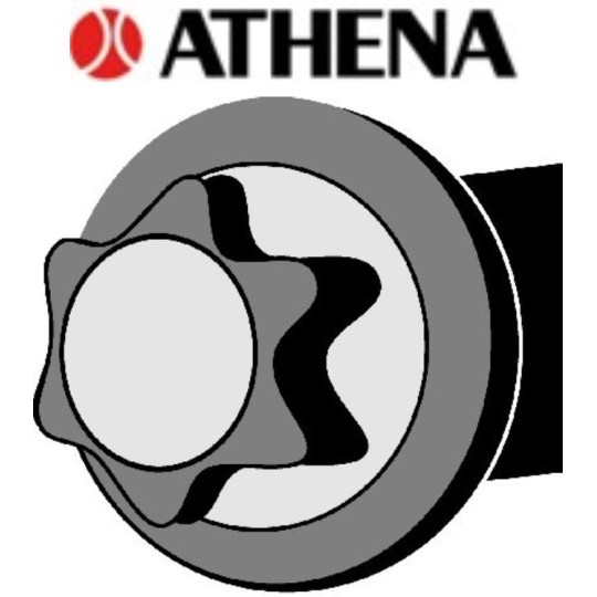 Kit de Vis ATHENA PSA TU9 TU1 TU3 TU5 NET HT (258047)