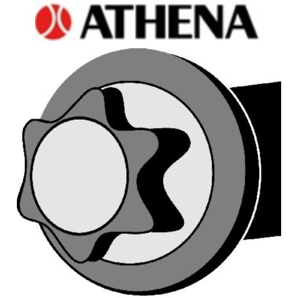 Kit de Vis ATHENA PSA TU9 TU1 TU3 TU5 NET HT (258047)