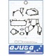 POCHETTE BASSE AJUSA ZD3 2006-2013 NET HT