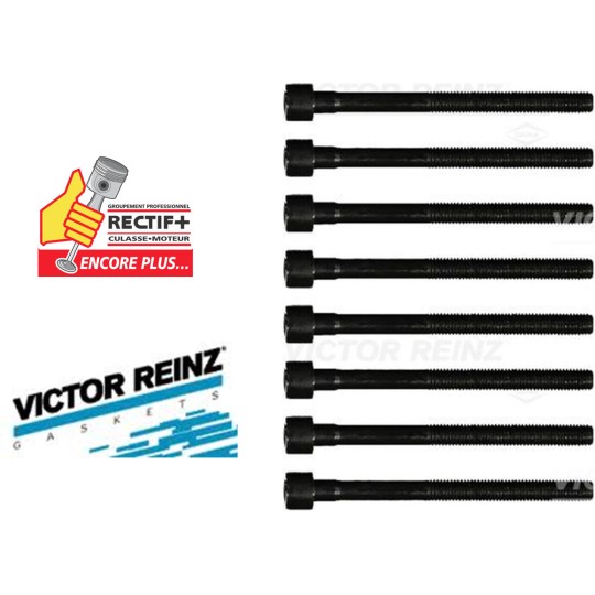 KIT DE VIS REINZ H4B H4D NET HT 141222101 B2301 B2301 81067000 BK7300 110569395R 649400 T8488200 A2810160500 A2810160500 1105600