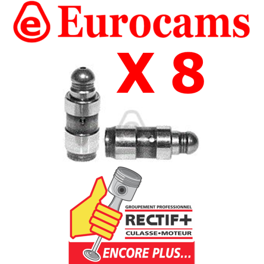 POUSSOIR HYDRAULIQUE EUROCAM DV5 NET HT LOT DE 8