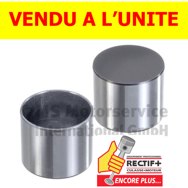 POUSSOIR MONOBLOCS KS ø 28 POUR MOTEUR PSA 2.76 MM

50007952 9675754580  BFS460S 222610 3645925