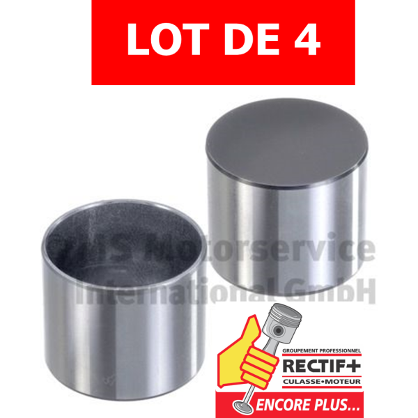 POUSSOIR MONOBLOCS KS ø 28 POUR MOTEUR PSA 2.76 MM

50007952 9675754580  BFS460S 222610 3645925