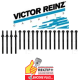 ZD30 COMMON RAIL NET ht Kit de Vis REINZ