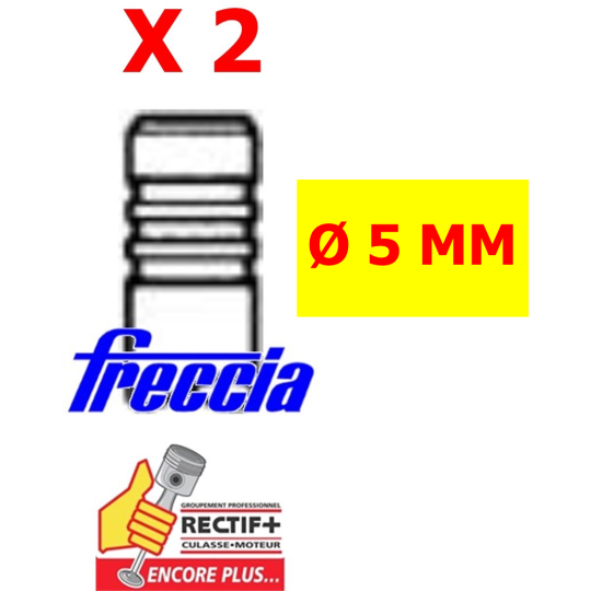 PAIRE DE SOUPAPES ADMISSION FRECCIA H5D H5H PAR CYLINDRE NET HT