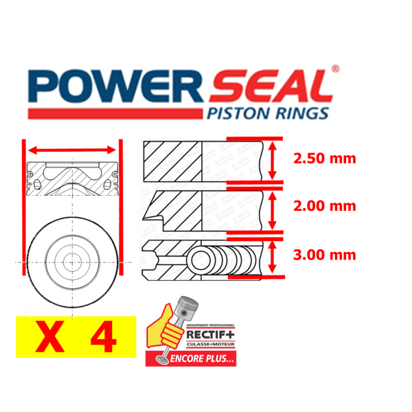 SEGMENTATION JEU MOTEUR F9Q ø 80 STD POWERSEAL NET HT