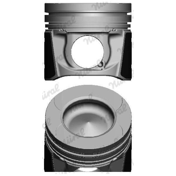 LOT DE 4 PISTONS NURAL COTE REP +0.50 M9T704 NET HT