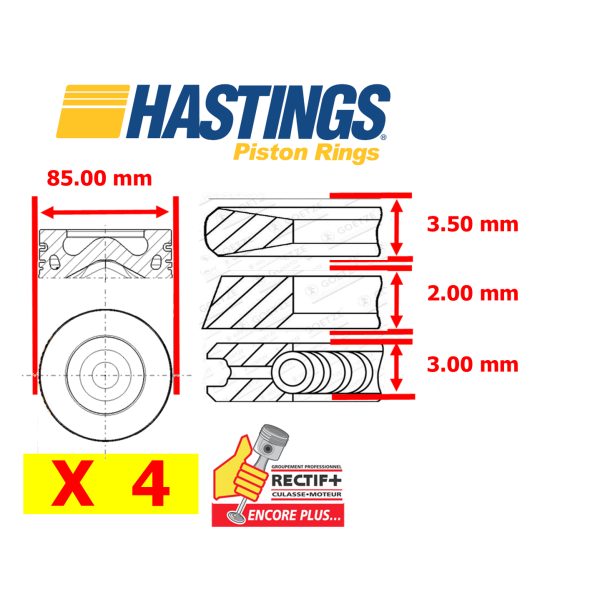 SEGMENTATION COMPLETE HASTING 4HY DW12 ø 85 NET HT