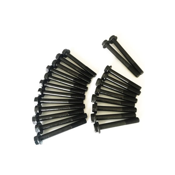 LOT DE VIS DE CULASSE OEM EQUIVALENCE PERKINS U5MK0384 NET HT