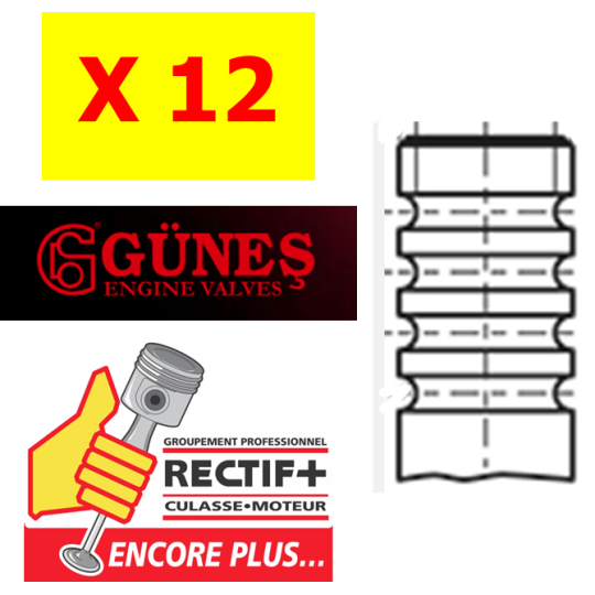 LOT DE 12 SOUPAPES ADM GUNES SCANIA NET HT 2024328 2032823 2427636 5025 10535655