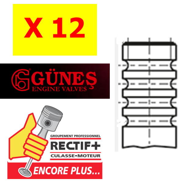 LOT DE 12 SOUPAPES ECH GUNES SCANIA     2165088 2196243  5028 10535669