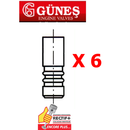 LOT DE 6 SOUPAPES ADMISSION GUNES H4D400 A PARTIR 01-2020 NET HT 7252 R8112S 132014980R